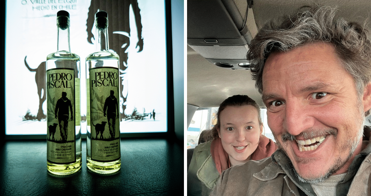 Pedro Piscal, pisco artesanal chileno inspirado en Pedro Pascal y ejemplo de marcas inspiradas en películas